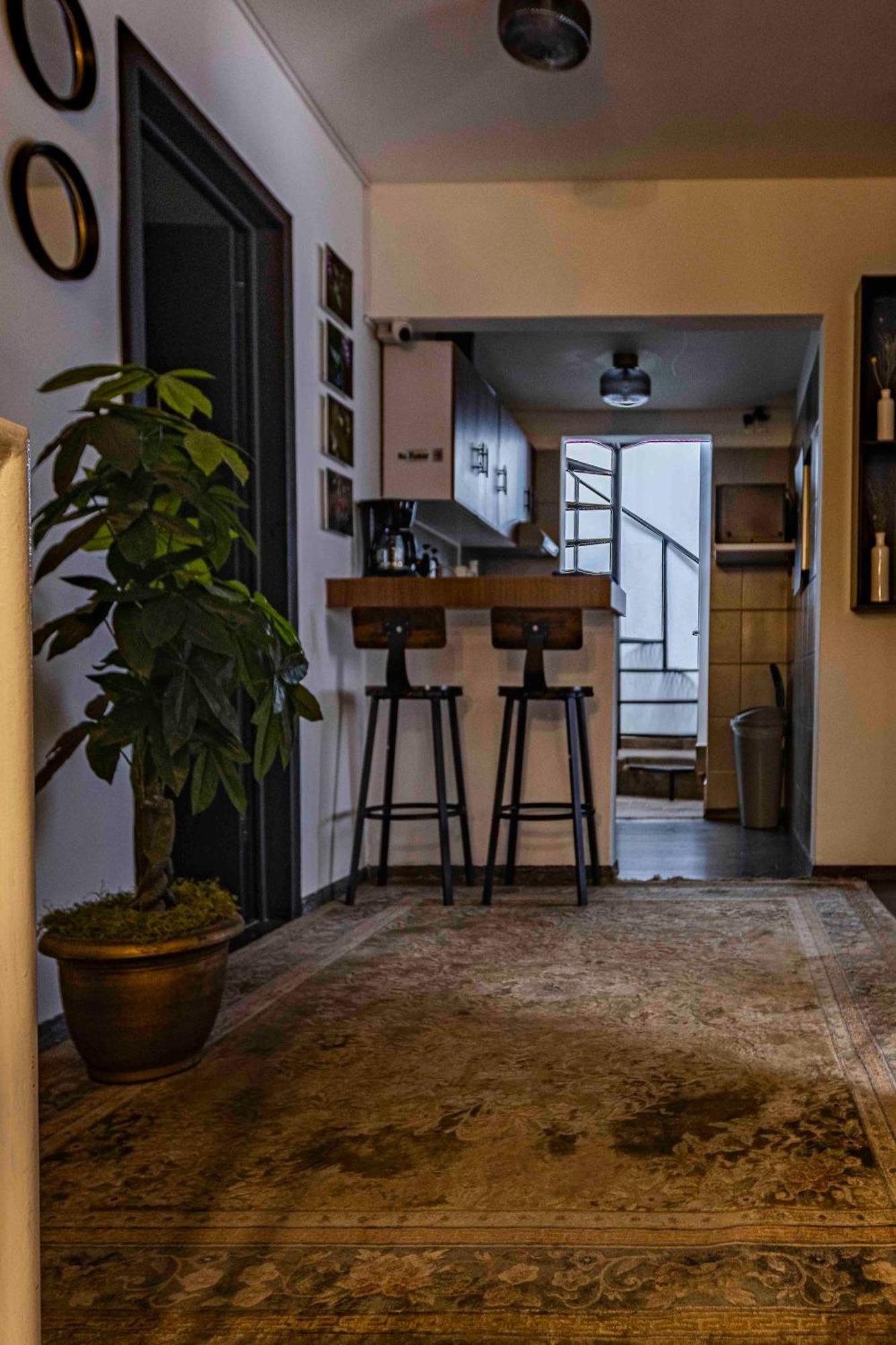 Morada Luna Polanco مدينة مكسيكو المظهر الخارجي الصورة
